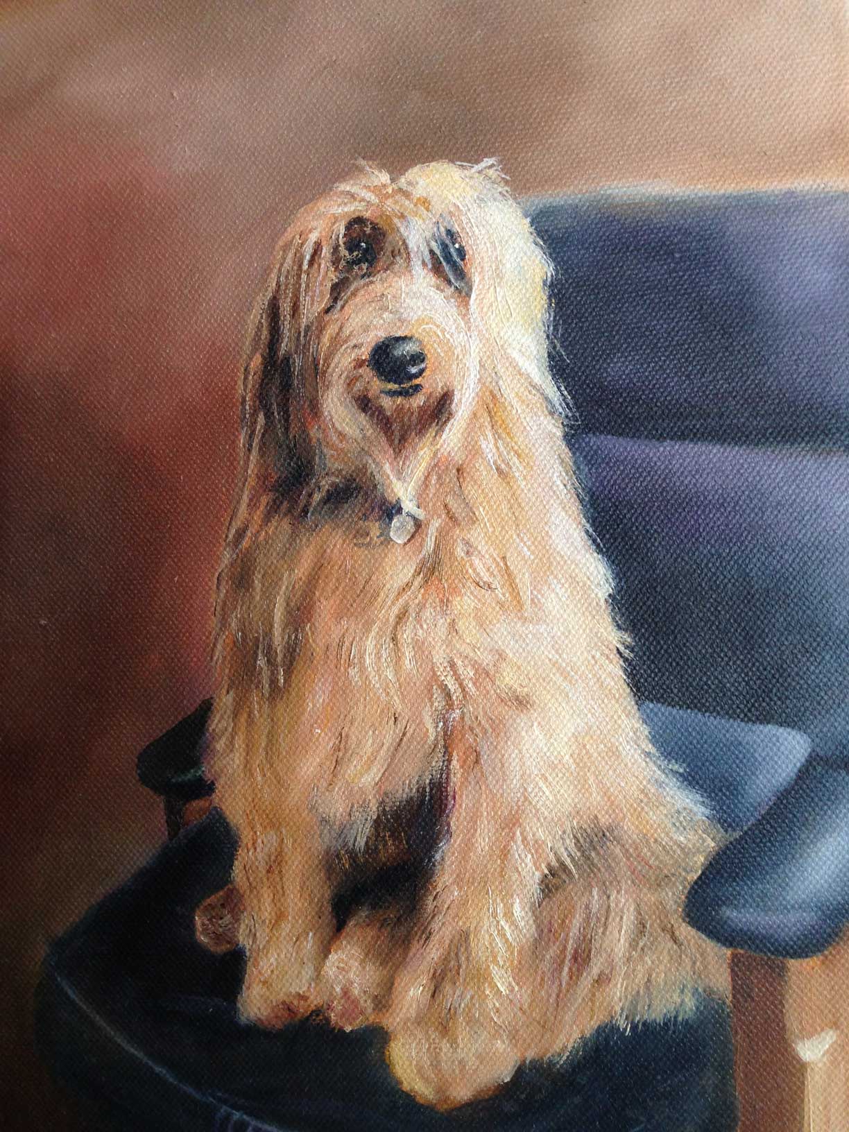 sally mccoy animal portrait