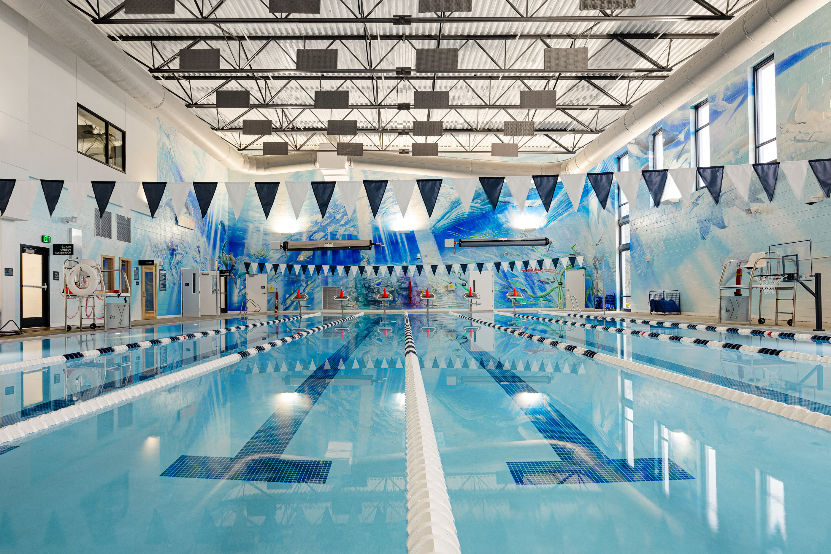 beautiful mural of ocean animals surrounds you while you swim at the eugene ymca pool