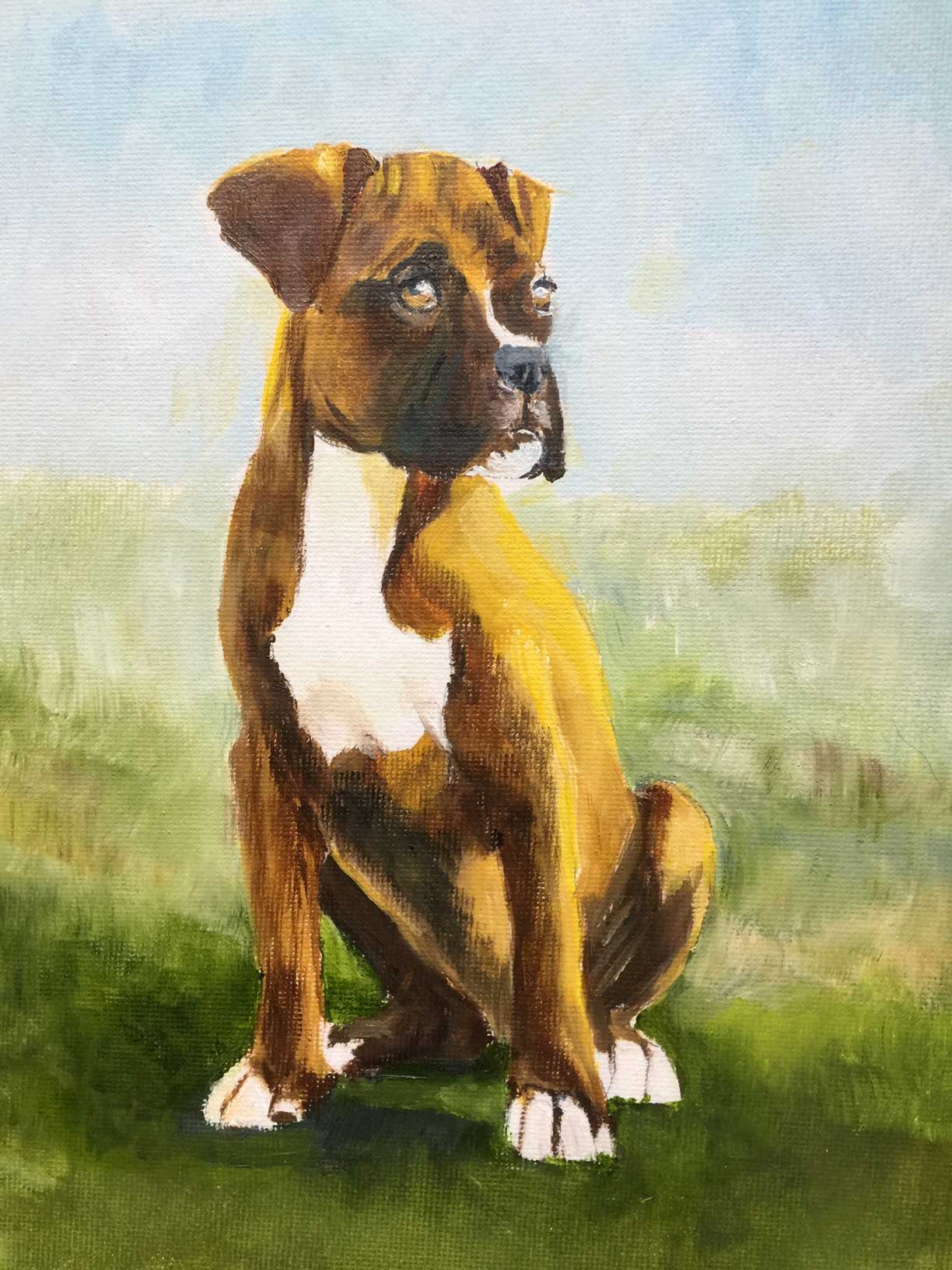 sally mccoy animal portrait