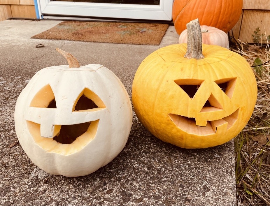 carved pumpkins on a stoop