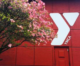 y logo on eugene ymca facility with flowering dogwood